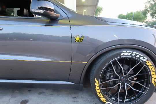 Aggressive Rhino fender badges.